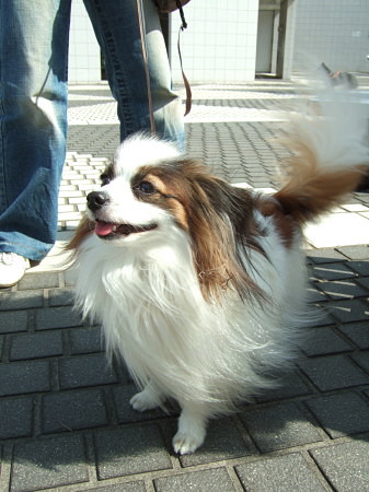 c0044199_13181685.jpg
