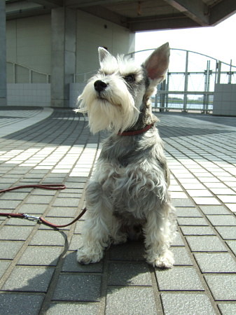 c0044199_13281643.jpg