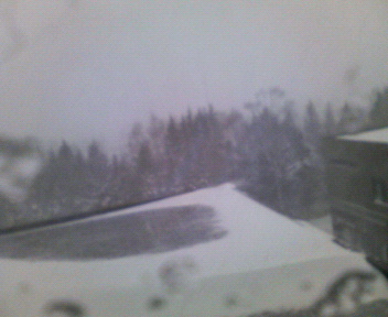 c0090899_2221959.jpg