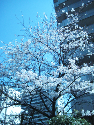 b0097200_22433556.jpg