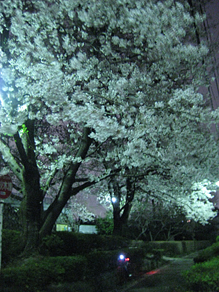 b0097200_22545976.jpg