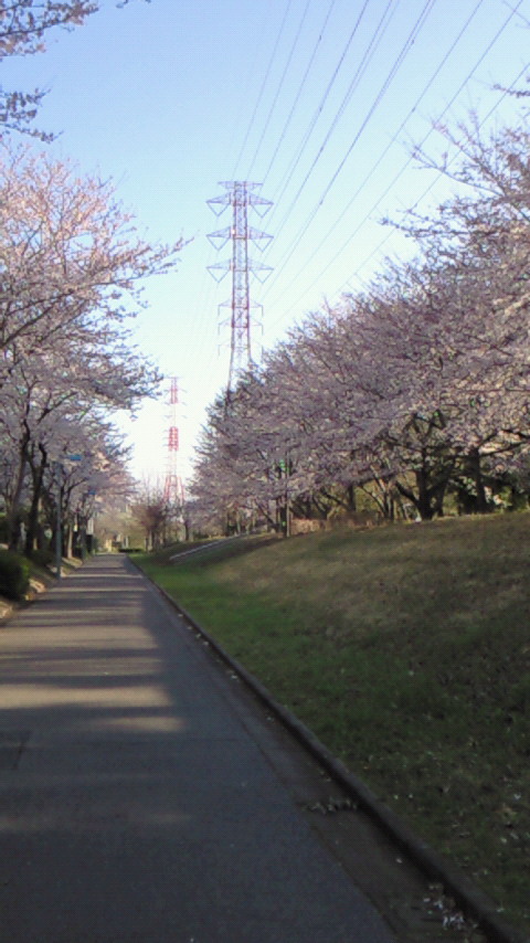 f0114900_6135141.jpg