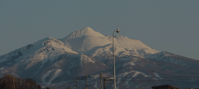 e0050801_1242323.gif