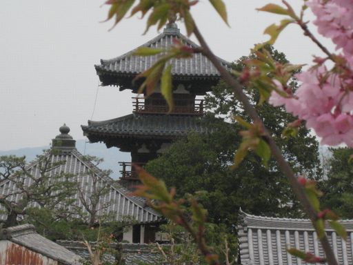 a0101802_2351015.jpg