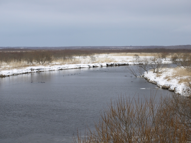 f0020302_21593439.jpg