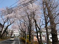 c0065804_16132521.jpg