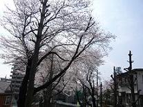 c0065804_16134241.jpg
