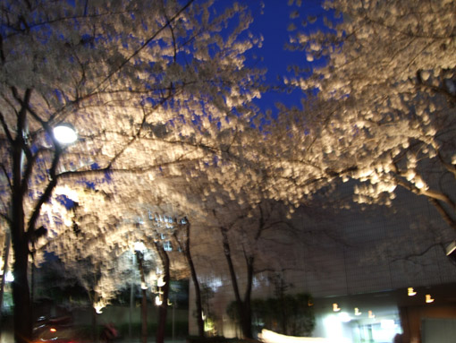 e0071409_14331584.jpg