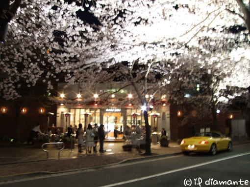 e0071409_1434819.jpg