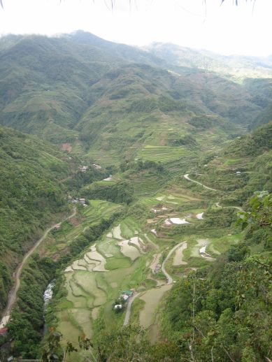 d0149310_215706.jpg