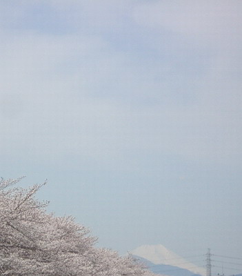 a0091314_16145234.jpg