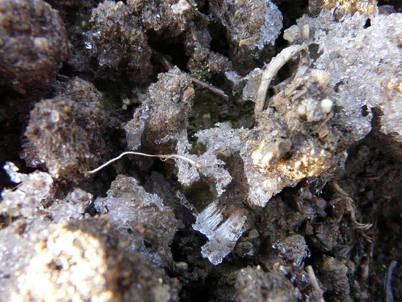 c0086014_201434.jpg