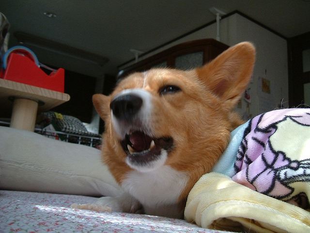 c0127617_2159791.jpg