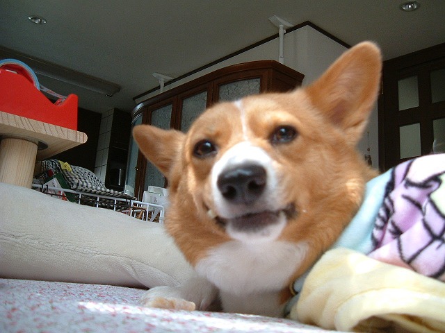 c0127617_2202452.jpg
