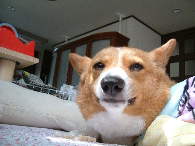c0127617_2212582.jpg