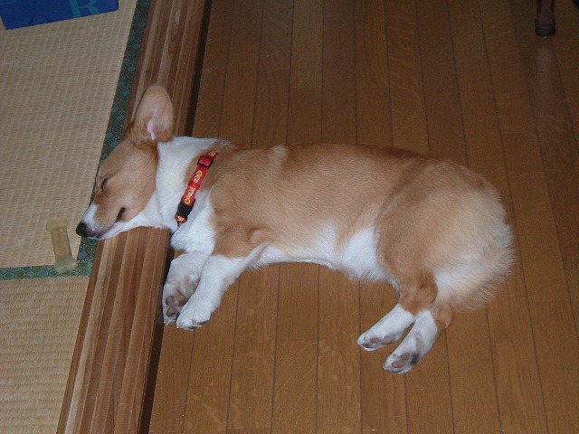 c0127617_22544647.jpg