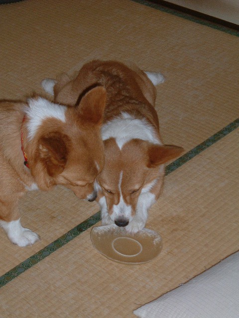 c0127617_22583483.jpg