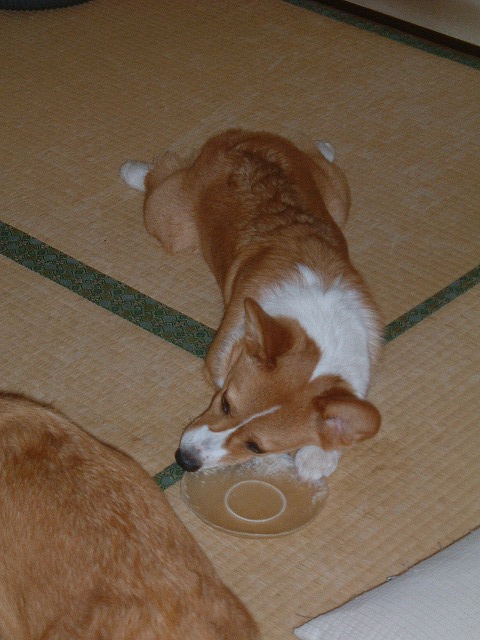 c0127617_22595110.jpg