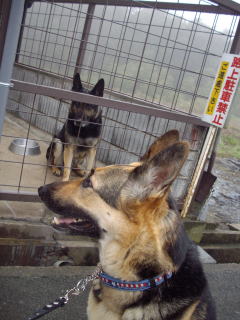 c0090220_956939.jpg