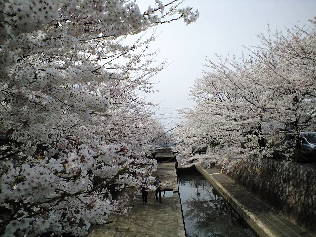 e0123920_23285882.jpg