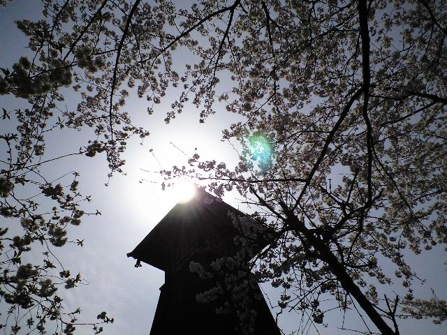 e0123920_23363726.jpg