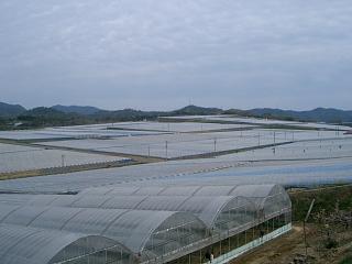 e0091322_19252611.jpg