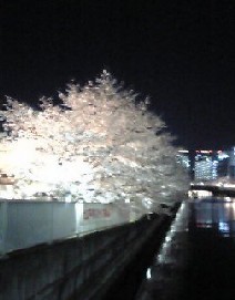 f0022024_12185661.jpg