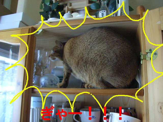 d0081025_21445855.jpg
