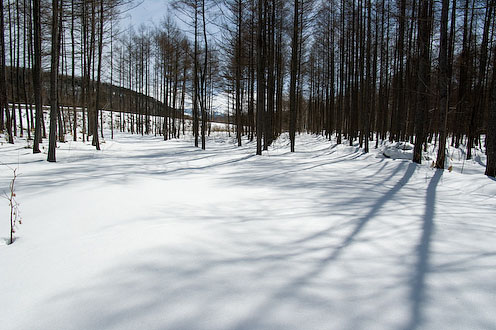 e0025030_1712358.jpg