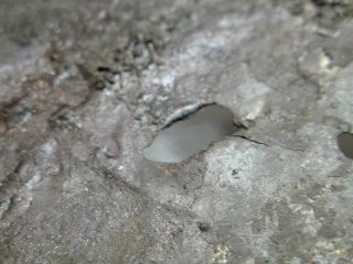 f0045630_21495059.jpg