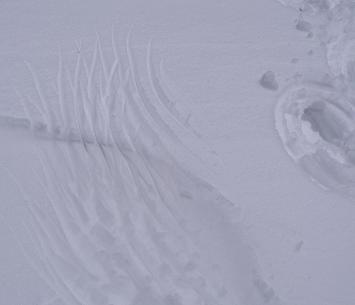 f0118332_21492469.jpg