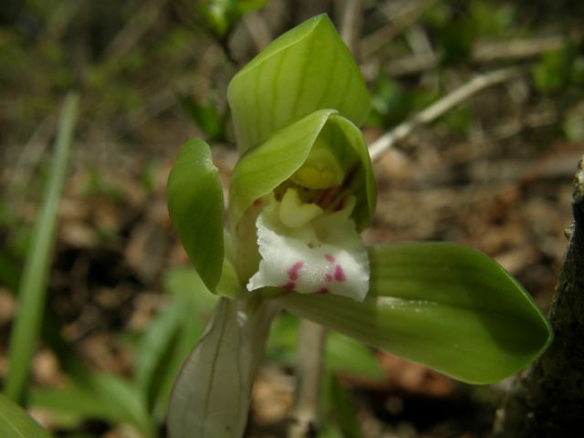 e0145033_7585119.jpg