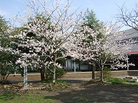 e0069234_19351023.jpg