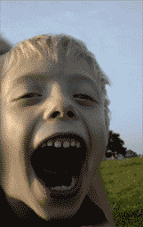 c0001339_7182959.gif
