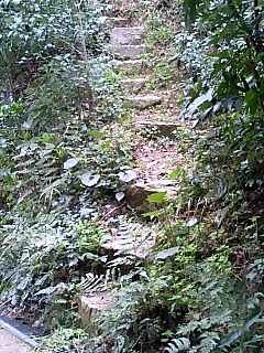 f0071840_23372494.jpg