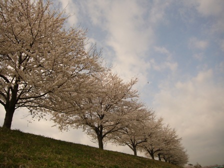 c0122445_16135098.jpg
