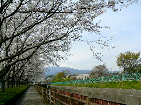b0082747_17462630.jpg