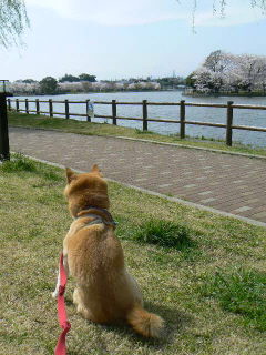 b0082747_17464020.jpg