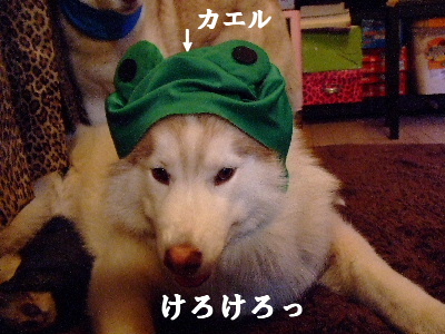 e0121548_2013358.jpg