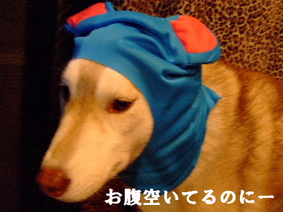e0121548_2083311.jpg