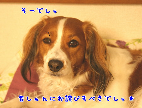 d0013149_2292726.jpg