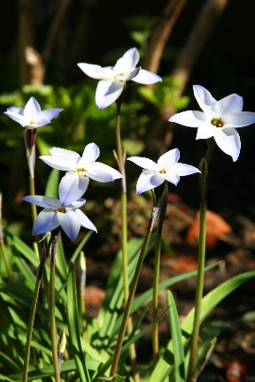d0013149_2322034.jpg