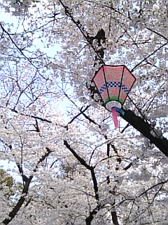 c0069552_22101410.jpg