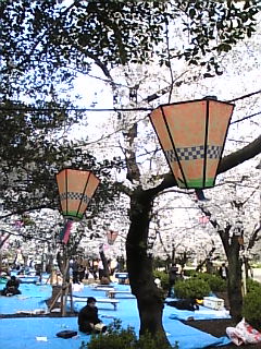 c0069552_22101714.jpg