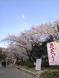 c0069552_22103882.jpg