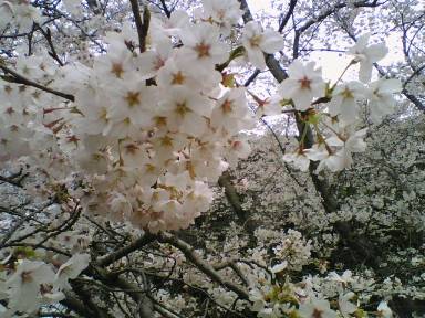 c0031856_14285295.jpg