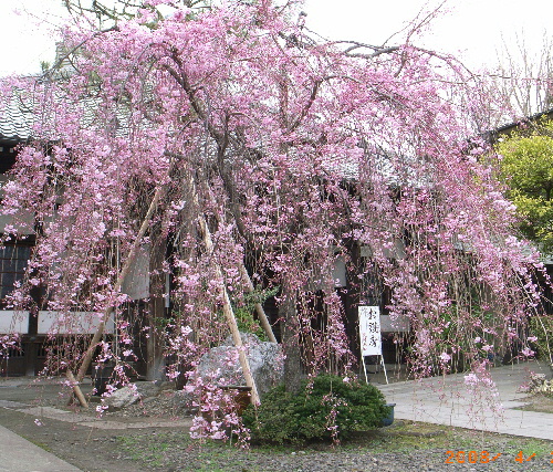c0050857_23133679.jpg