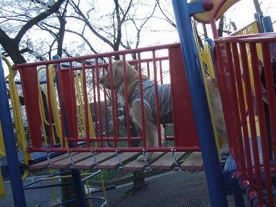 c0097558_23265660.jpg