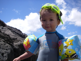 a0048361_828779.jpg