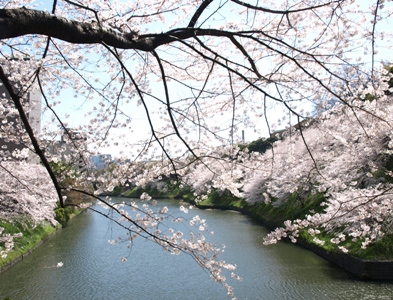 c0102268_142414.jpg